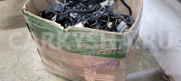 Электропроводка Renault Logan 2014 240111788R L8MV K7M Renault Logan 